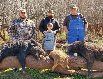 oklahoma hog hunts