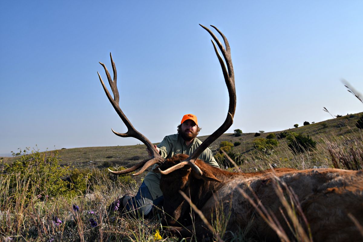 elk-hunts-